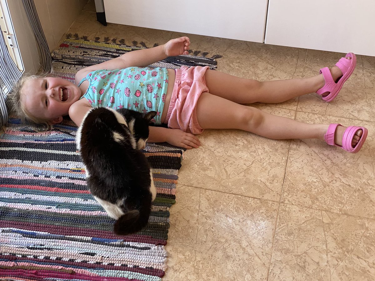 joannaebell's tweet photo. We have made it back home! 25 hours door to@door🏡 🥰Tabitha was such a good girl on the journey! 💕Socks and Molly 😻😻 were soooo excited to see Tabitha! A social distance hi to Grandma 👵🏻 and back to being a water baby enjoying the swimming pool! Xxx 🏡🇪🇸☀️💕🥵🏊🏻‍♀️👵🏻🐶😻😻🍾🥂🥰 https://t.co/J5wjFEPTGb