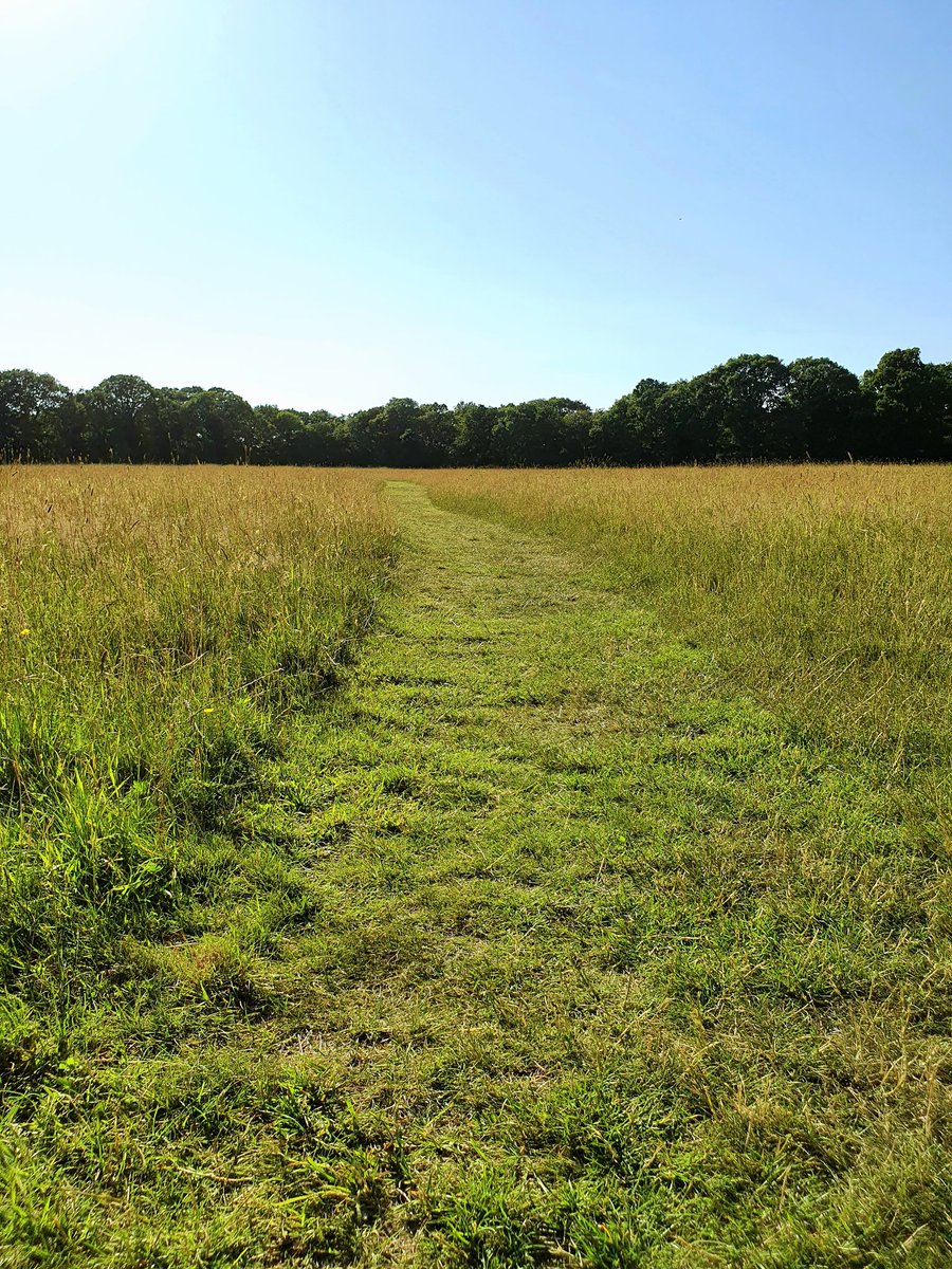 DrHelenPsych's tweet photo. #Compatitude moment:
#SelfCompassion of the need for some #Mindfulness and #Nature for #Revival.
#Gratitude for #EssexCountryside and standing in #Solitude surrounded by only nature (and Mummy Sinclair ๐) https://t.co/xKIGy6P9LG
