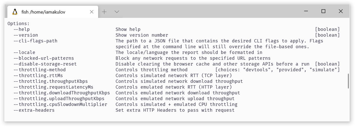 40) Lighthouse CLI also supports a bunch of advanced options not available in DevTools – like custom throttling settings, or extra HTTP headers: