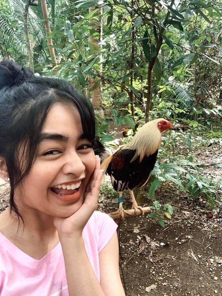 patvoreeofc's tweet image. Say hi to Kookai the Kikay and her chicken 🐔 💛
#HelloStrangerEP1 
#PatVoree