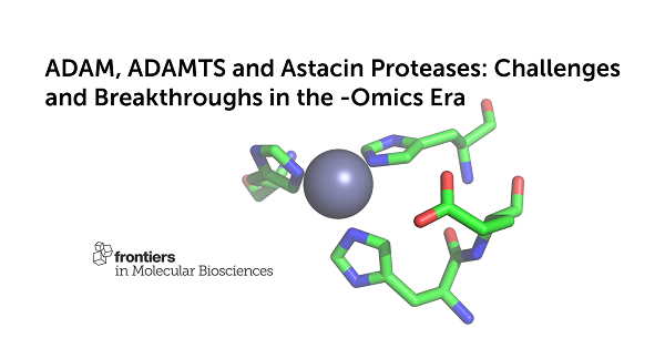 FrontMolBioSci's tweet photo. 📢 Call for papers!
#ADAM #ADAMTS and #Astacin Proteases: Challenges and Breakthroughs in the -Omics Era
Edited by Salvatore Santamaria, Hang Fai Kwok, Kazuhiro Yamamoto, Simone Dario Scilabra, Rens de Groot @RensdeGroot3
Deadline February 2021
Info: https://t.co/Run4I37JlW https://t.co/TsRBwRK1lE