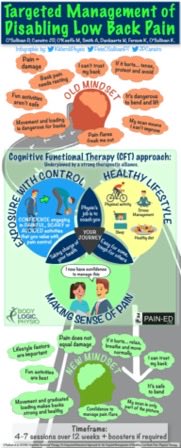  @PeteOSullivanPT ***Cognitive Functional Therapy***‘CFT takes individuals with disabling LBP on a clinical journey that provides a multidimensional understanding of their pain within the context of their story’.