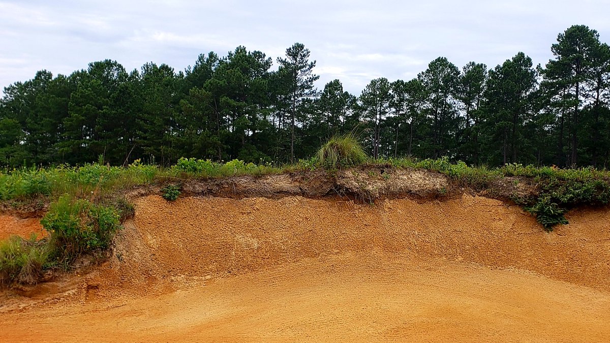 gave me a rare opportunity, to truly feel the heart, soul and genius of who Stranz was. All of these pics are random views of Tobacco Road, from angles usually not noticed. 36 continuous holes, 9 cross-country holes, 9 El Camino holes (one-shotters set from original, lost front