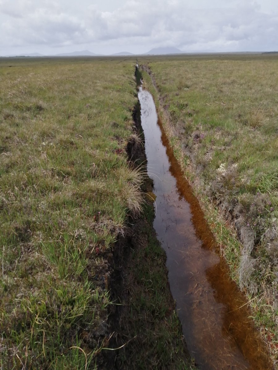 mapalljohn's tweet photo. Surveying drains using @emlid @wahaj_habib @SmartBog_IRL @DCUHist_Geog @TCD_Geography https://t.co/oEWW36gDmQ