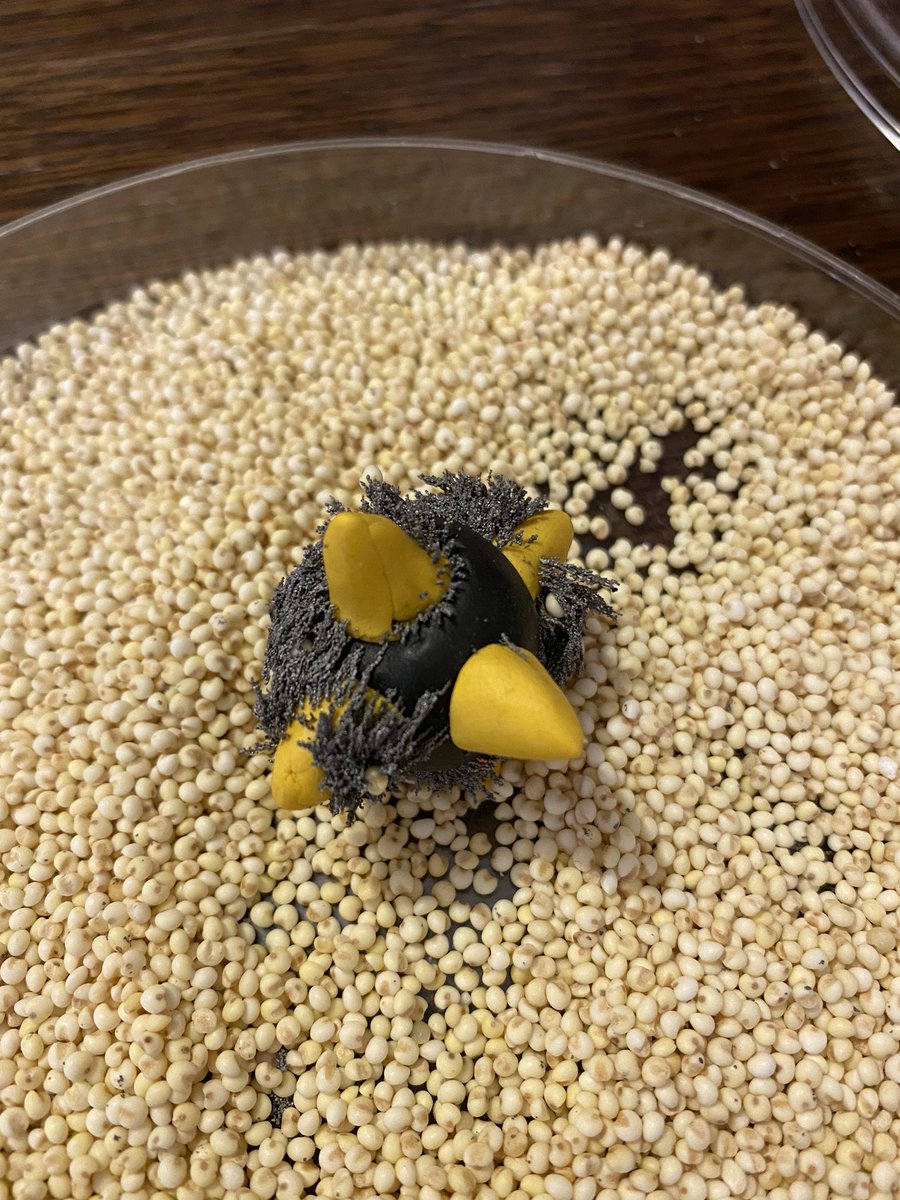 Was a fun and inspiring day with @Baker_Lab_Cam and <a href="/igoodfel/">Ian Goodfellow</a> and our smart little microbiologist, Molly, who wrote to the hospital about her idea on controlling COVID pandemic using antibodies.