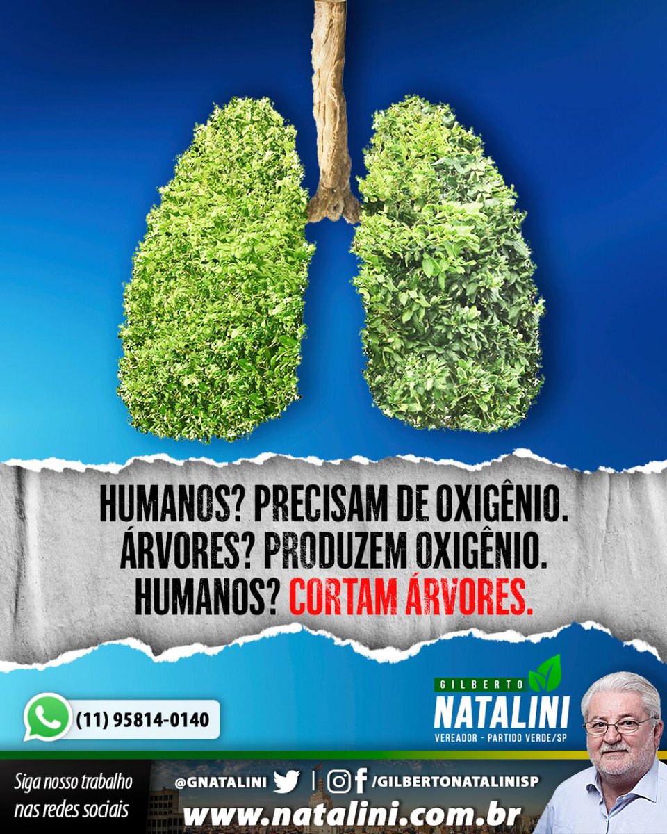 About_Juste's tweet photo. Este é o mandato de vereador do @gnatalini, lutando em favor da qualidade de vida dos paulistanos, por meio de uma cidade sustentável. Acesse e conheça o trabalho https://t.co/nqU0pdbzOn https://t.co/WUPdWncoGY