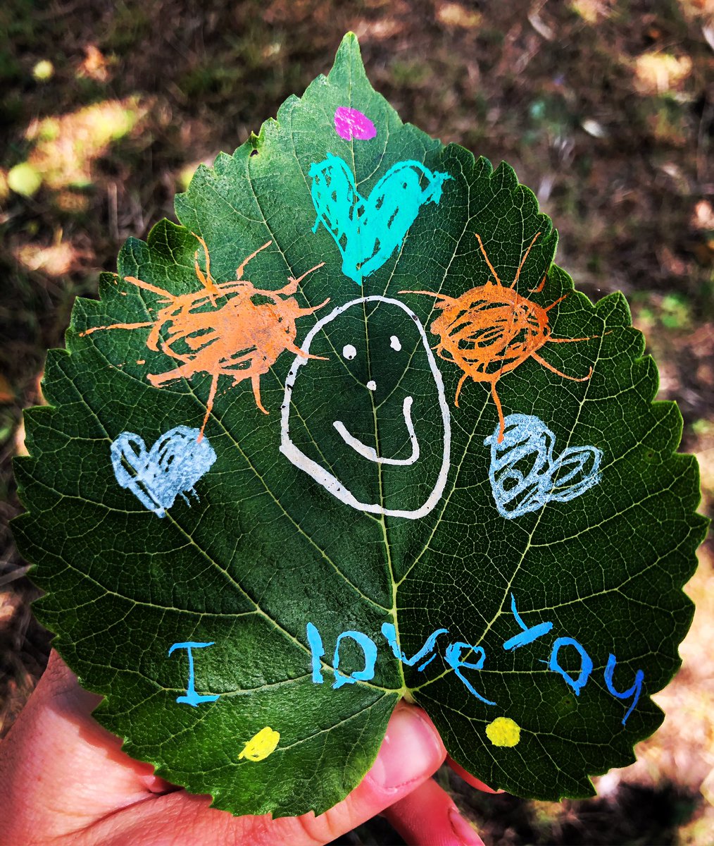 Jennifer Loukras tweet media