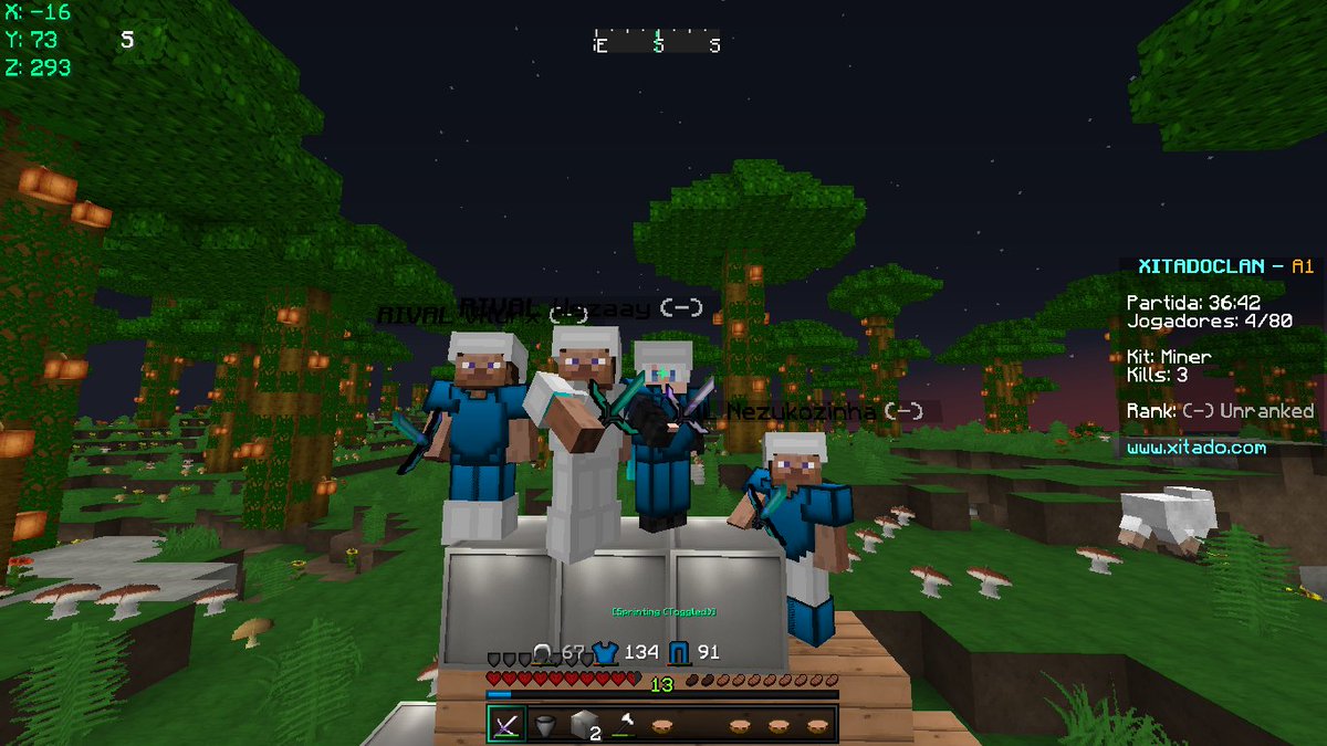 GOFASTCLAN - Minecraft HG tweet media