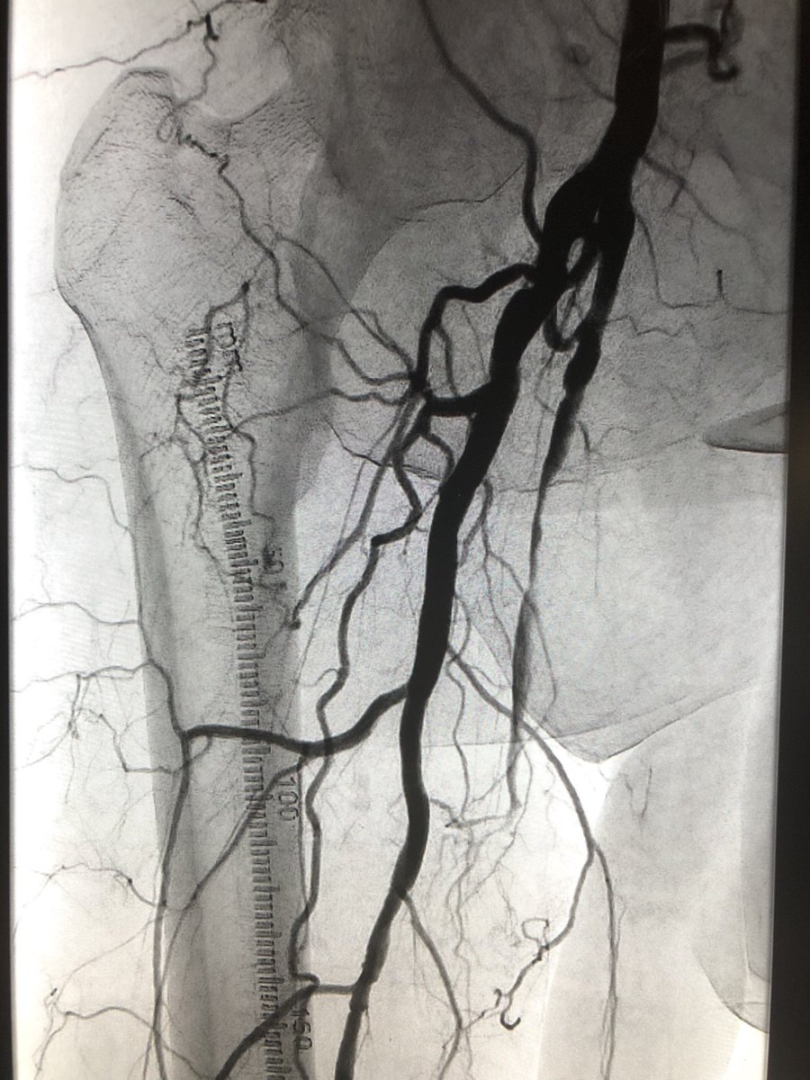 Andrew Niekamp tweet media