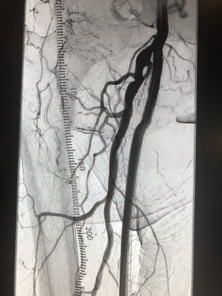 Andrew Niekamp tweet media