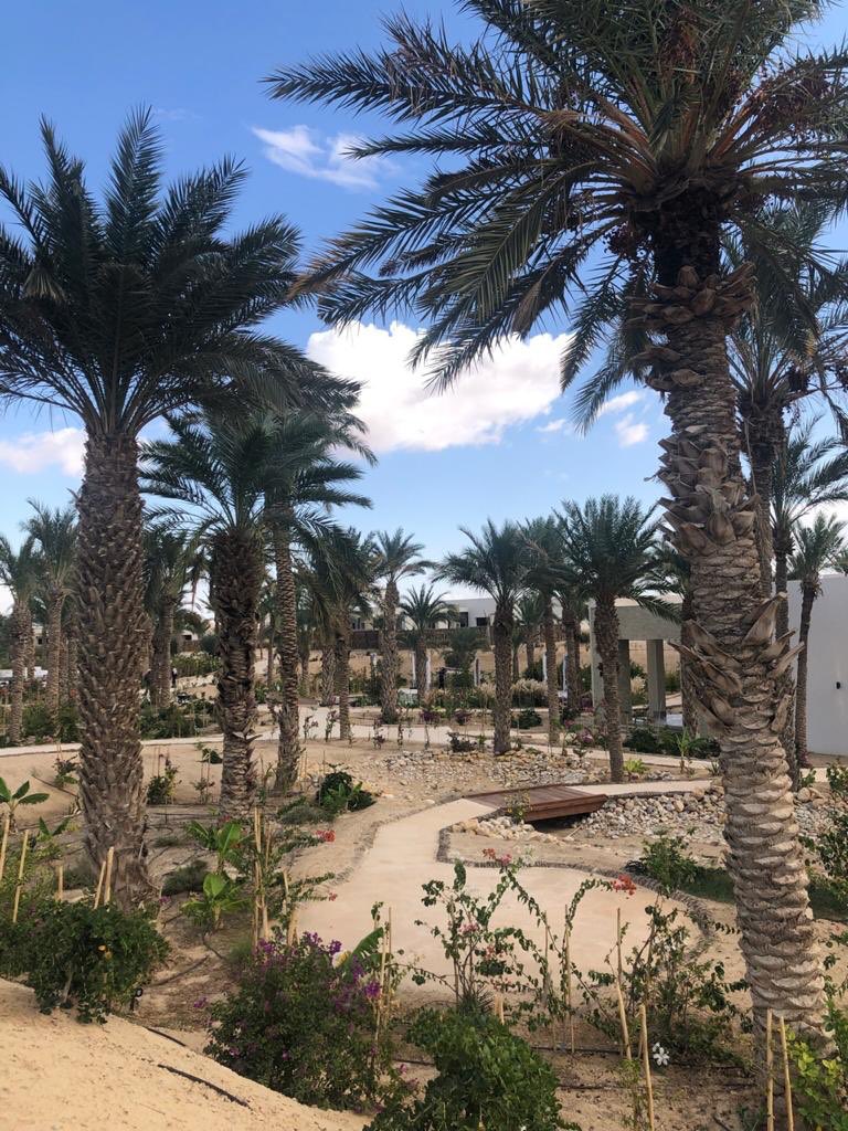 Day 4/7 😉 #mylifeinpictures. No people, no description. Challenge someone everyday. I was challenged by <a href="/AsmaEnnaifer/">Asma Ennaifer</a> and to day i challenge <a href="/AliaSahaly/">Alia Sahaly</a>