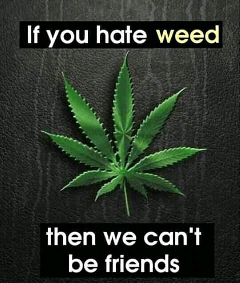 DevisIcon123's tweet image. 