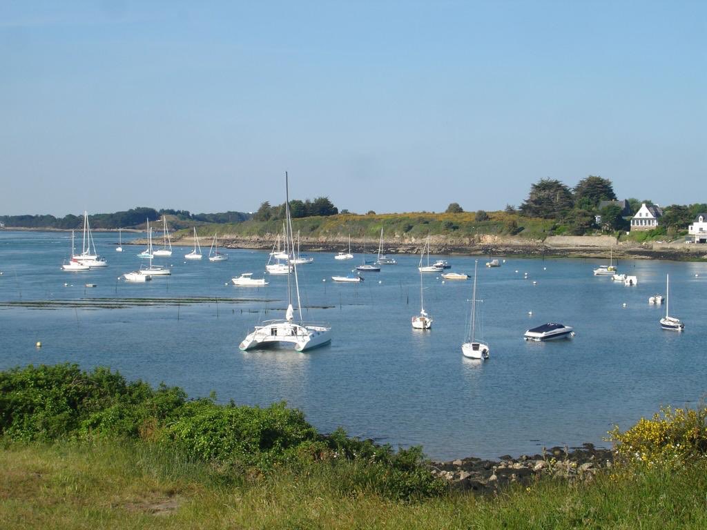 Day 4/7 😉 #mylifeinpictures. No people, no description. Challenge someone everyday. I was challenged by <a href="/selimabenamara/">Selima Ben Amara</a> and to day i challenge <a href="/Naila_Aldawoud/">Naila Aldawoud</a>