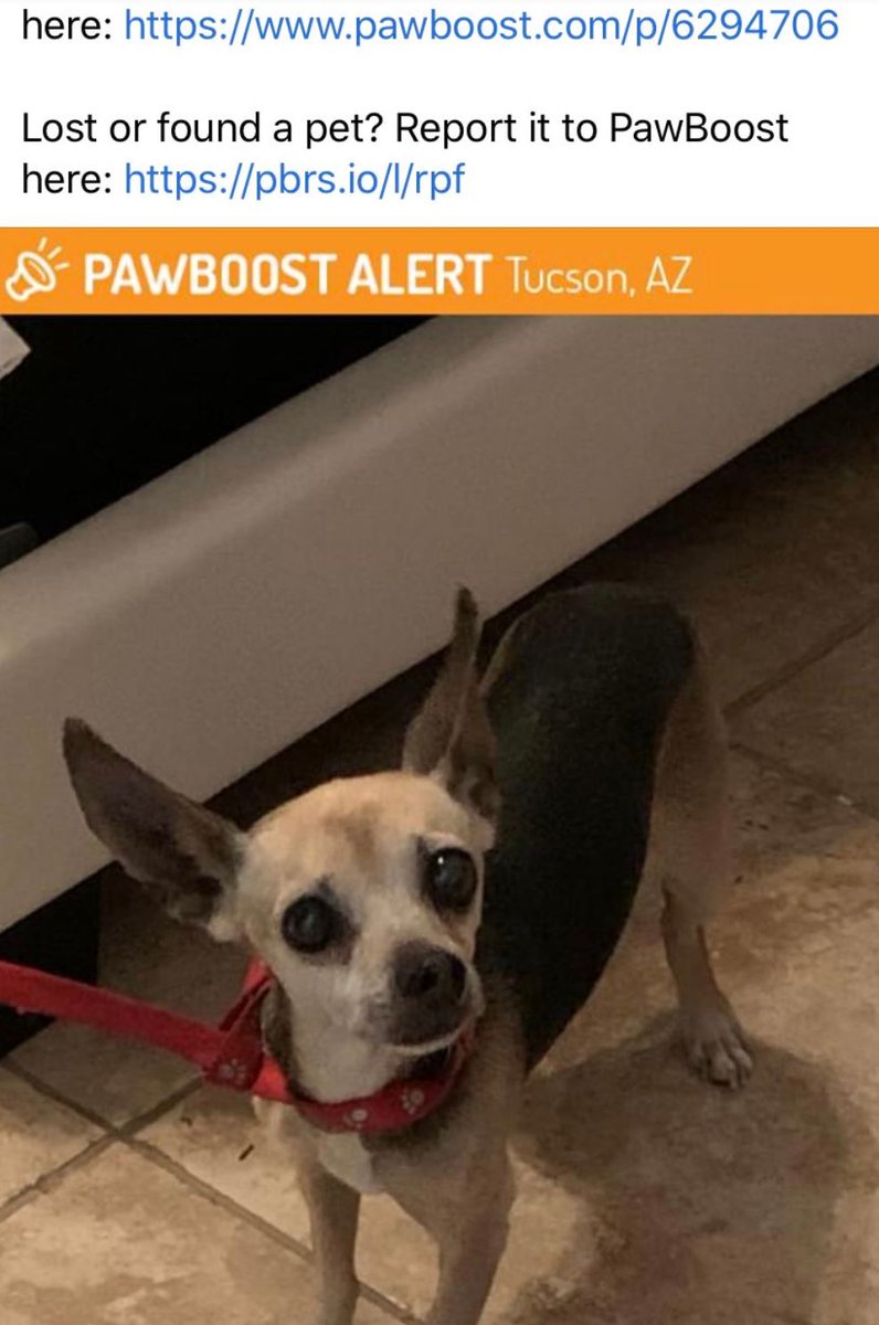 animal lost and found near me