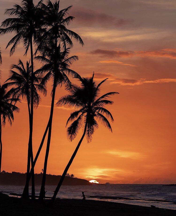 adventure_pr's tweet photo. 🔥🌊Ayardecer en Loíza. 
📸Foto por: (@amapola787) https://t.co/cHz65LHjqR