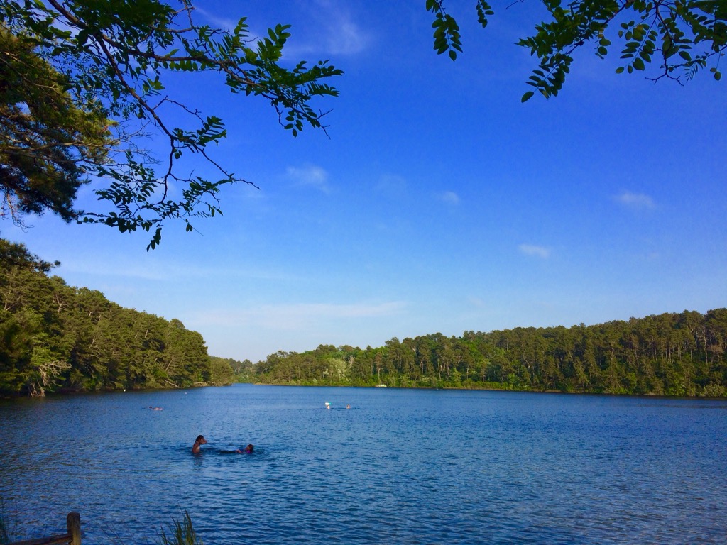 CapeCast tweet media