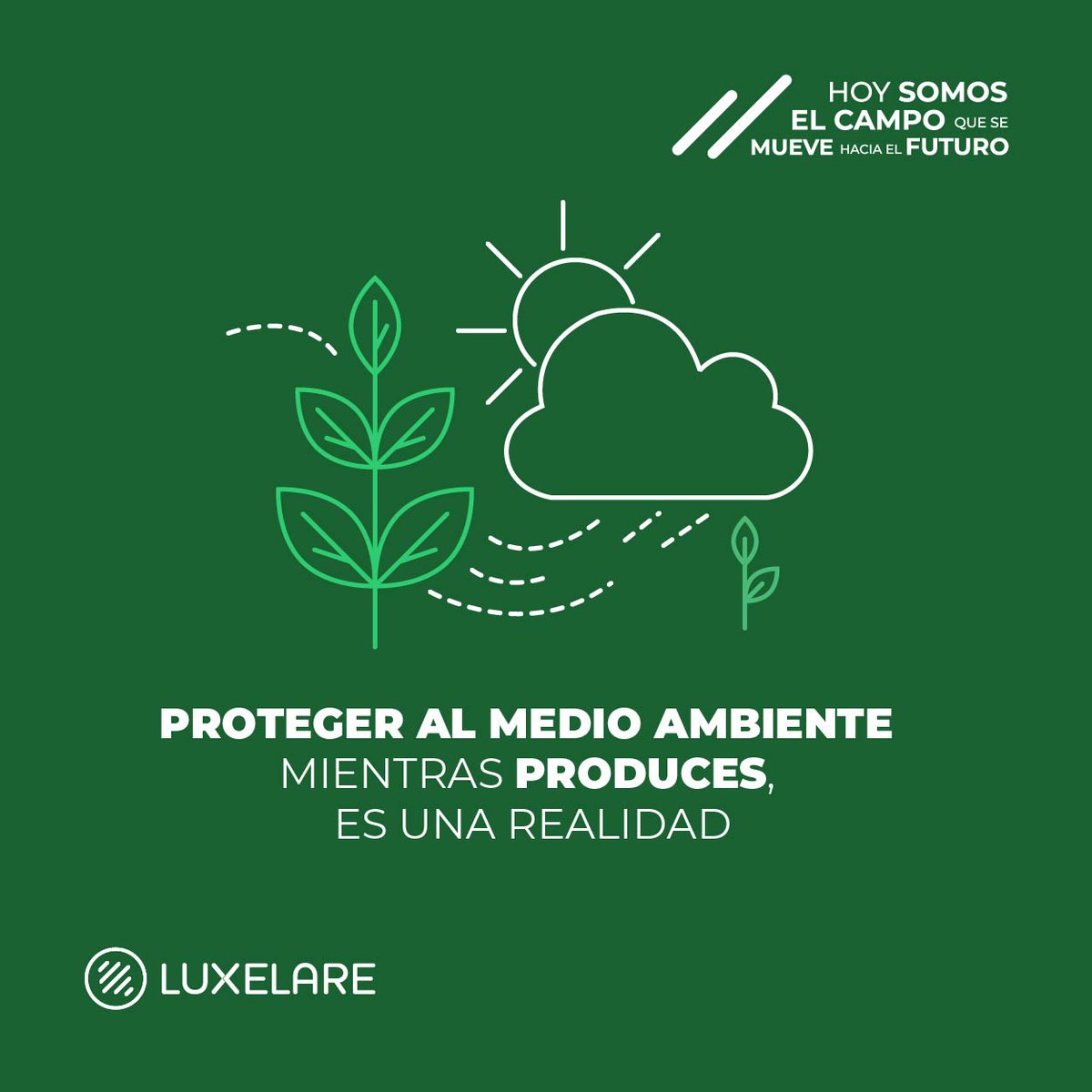 Luxelare's tweet photo. ¿Piensas que para ser sostenible vas a tener que dejar de ser altamente productivo? Con la Agricultura Digital no tienes que elegir entre uno u otro porque tienes #ElCampoaUnClick

Da los primeros pasos en https://t.co/g6g53ACeUg https://t.co/Gx46wdxTEG