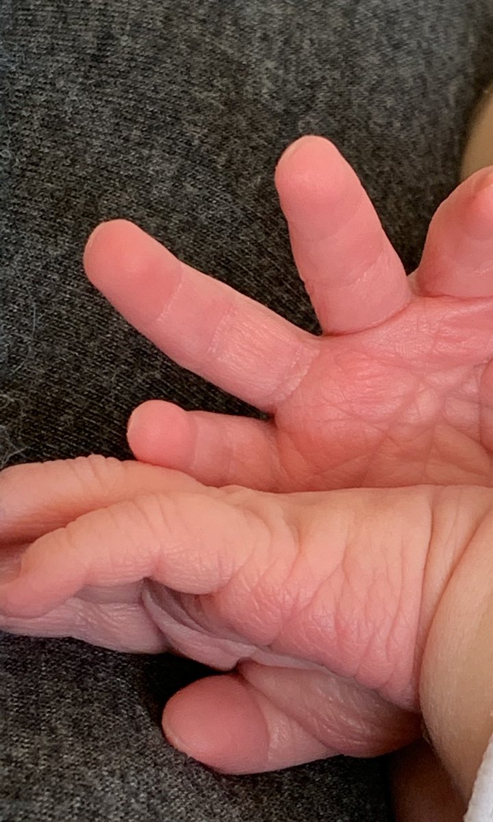 Julie McCrossin AM (She/Her) tweet media