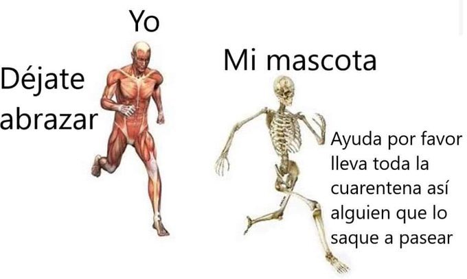 cosito de la pizza (@elcosodelapizza) on Twitter photo 