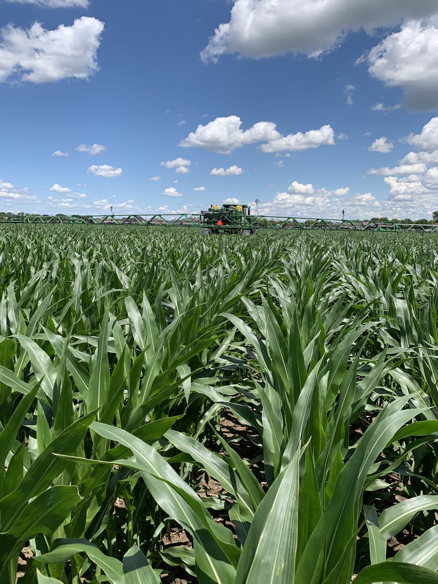 va2673's tweet photo. @AgriGold 6572 came to play in #2020! @montysplantfood @MACC4Yield #ezdrops https://t.co/CJFHepJVxN