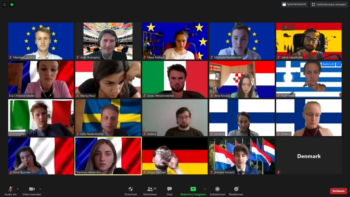 BuzoganyA's tweet photo. We finally found a way to save the #GreenNewDeal through the recovery plan to respond to the #COVIDー19 crisis 
#EUsimulation @BOKUvienna #EUGreenDeal @EUKommWien @MFA_Austria #onlinediplomacy https://t.co/tnlQaZjZ3Q