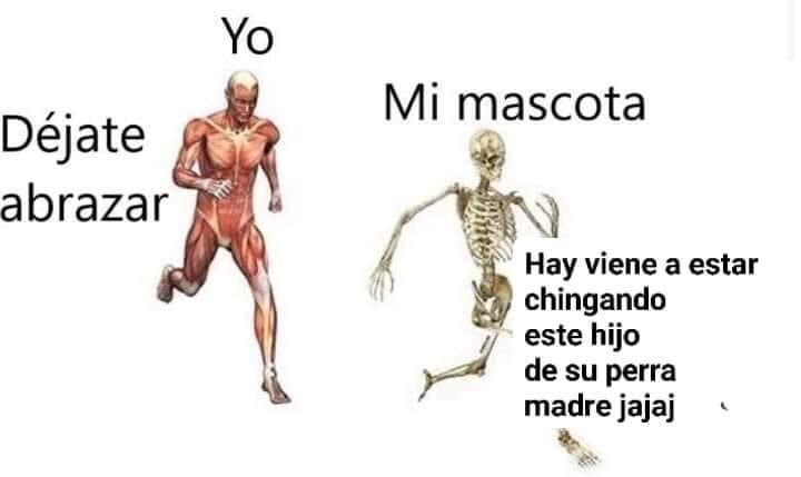 el jeringas tweet media