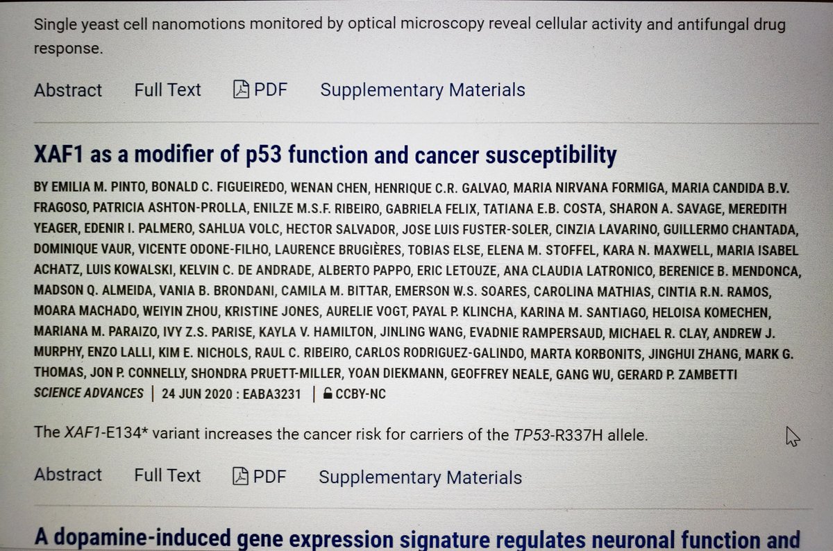 Emilia Modolo Pinto tweet media