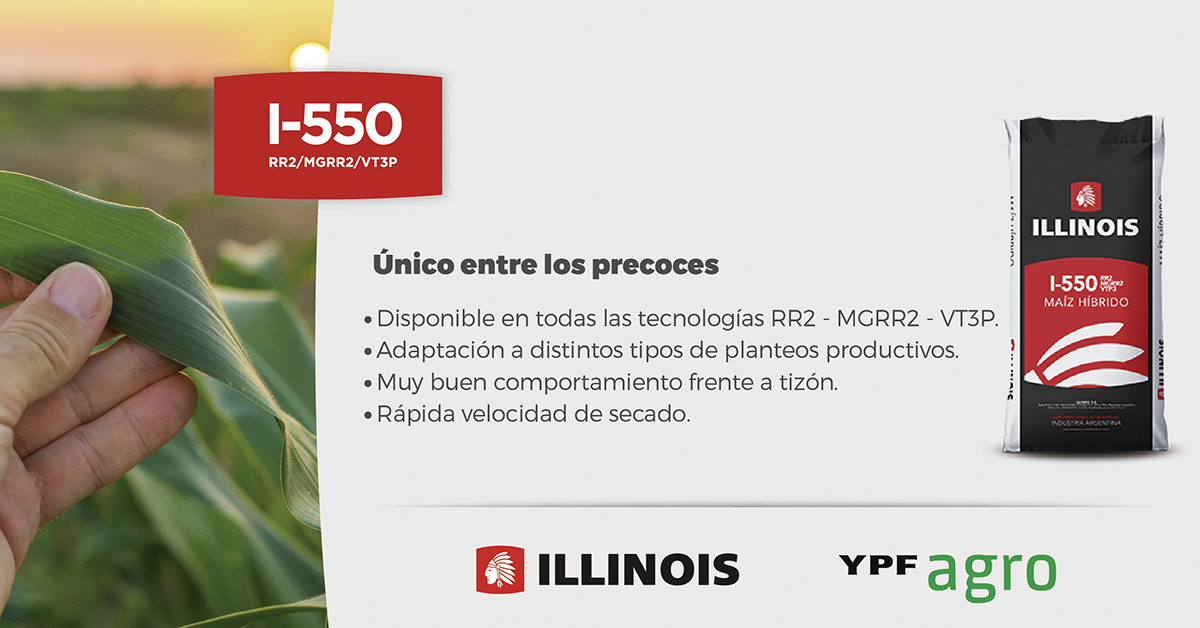 Sem_Illinois's tweet photo. Un híbrido precoz con todas las cualidades que necesitás 👇 #I550 https://t.co/mZwNLLg8RX