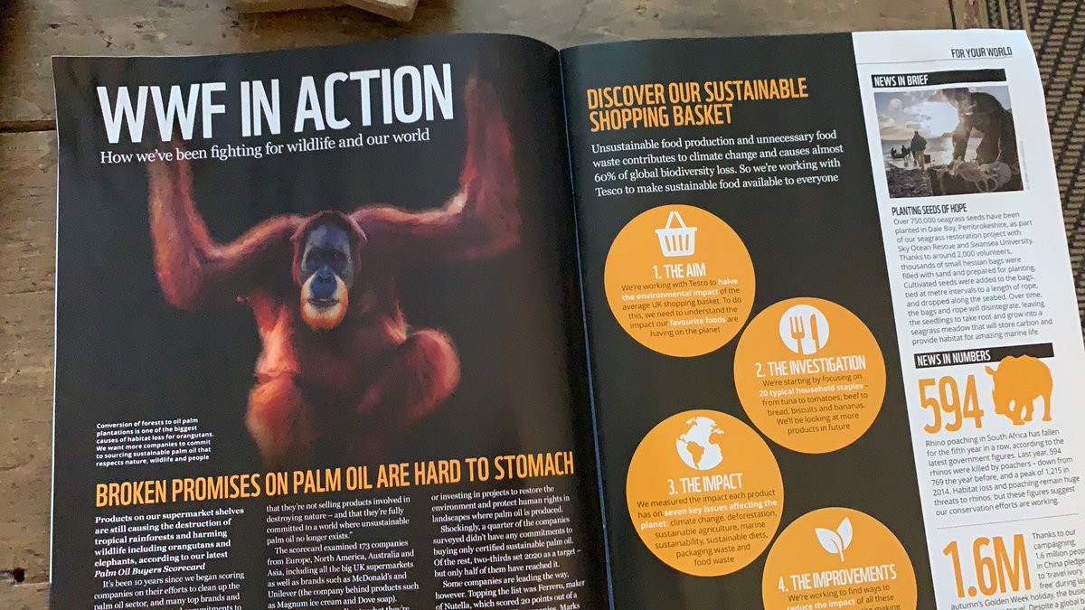 Gemma Grimley tweet media