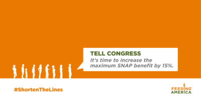 Stacey E. O'Malley (@seomalley1211) on Twitter photo 