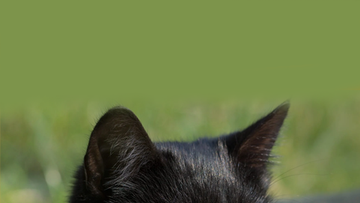 itswoori's tweet image. did it work?