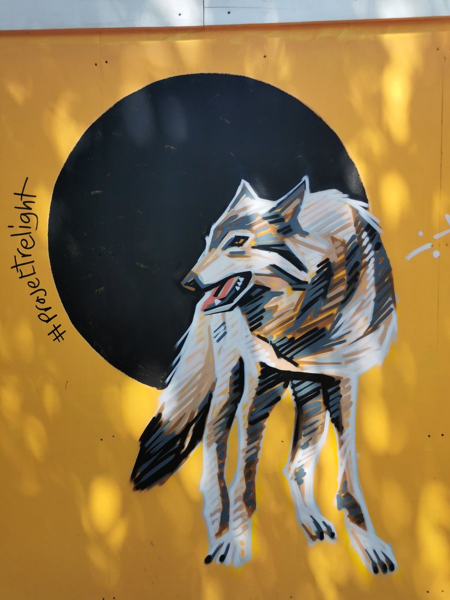 lizzie_creative's tweet photo. Popped into town today to take some photos of the wonderful #ProjectRelight wolves by the @wulfruncentre today! I'm working on a poetry project with Bushbury Hill Primary Academy, and these are the perfect inspiration! @Wolves https://t.co/PwrpcP3Zn4