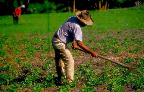 Extiendo mi más cálido saludo a las personas vinculadas a la producción nacional, gracias a ellos tenemos nuestros alimentos cada día, siendo uno de los pilares fundamentales de la economía peruana, Feliz día del campesino.