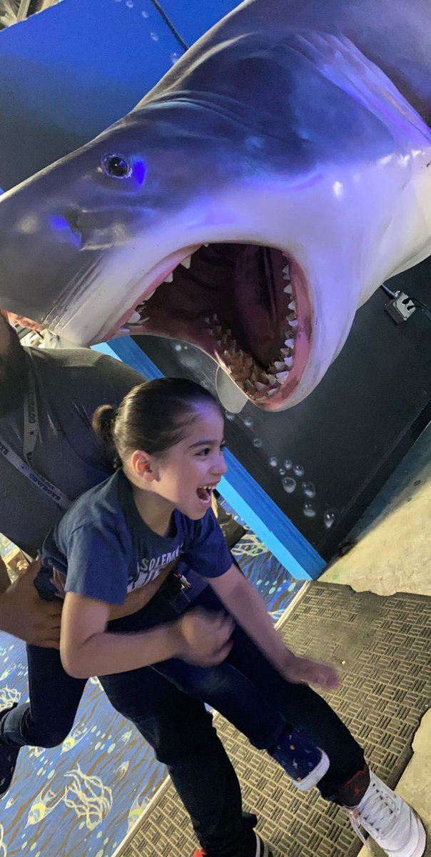 jessicaaamarie_'s tweet photo. happy 5th birthday to my baby 🥺♥️ #quarentinedbirthday #mysourpatch https://t.co/tfHOjOBJEg