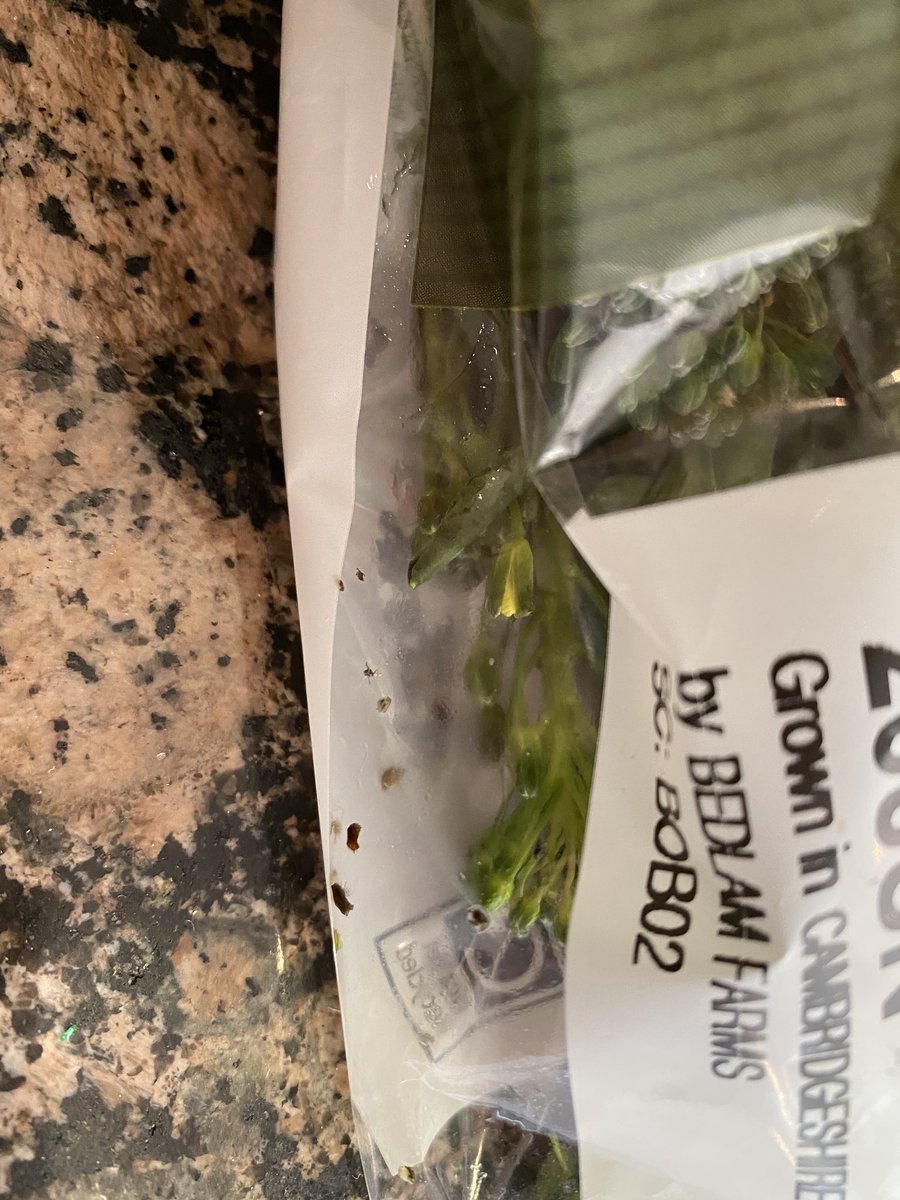 chadbeanie's tweet photo. @Tesco disgusted that I’ve just received 2 bags of organic broccoli full of insects.. dead and alive!!!! 🤢 https://t.co/OruvYtDoZk
