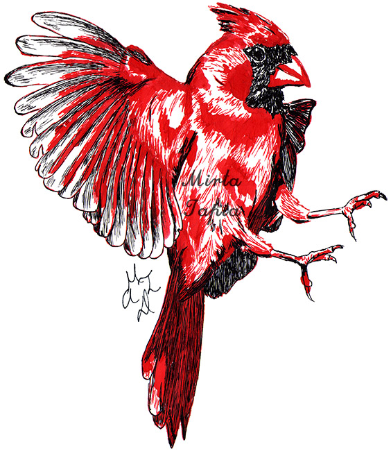 🐦

mirtatapia.wixsite.com/arte-y-diseno/…

#Dibujo #Ave #Pájaro #Cardenal #Drawing #CardinalisCardinalis #CardenalRojo #CardenalNorteño #NorthernCardinal #RedBird #Bird #CommonCardinal