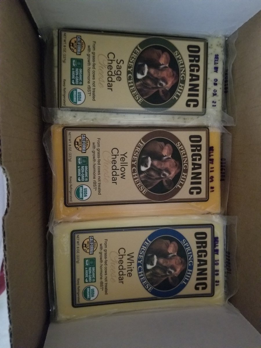 Gino Buccola tweet media