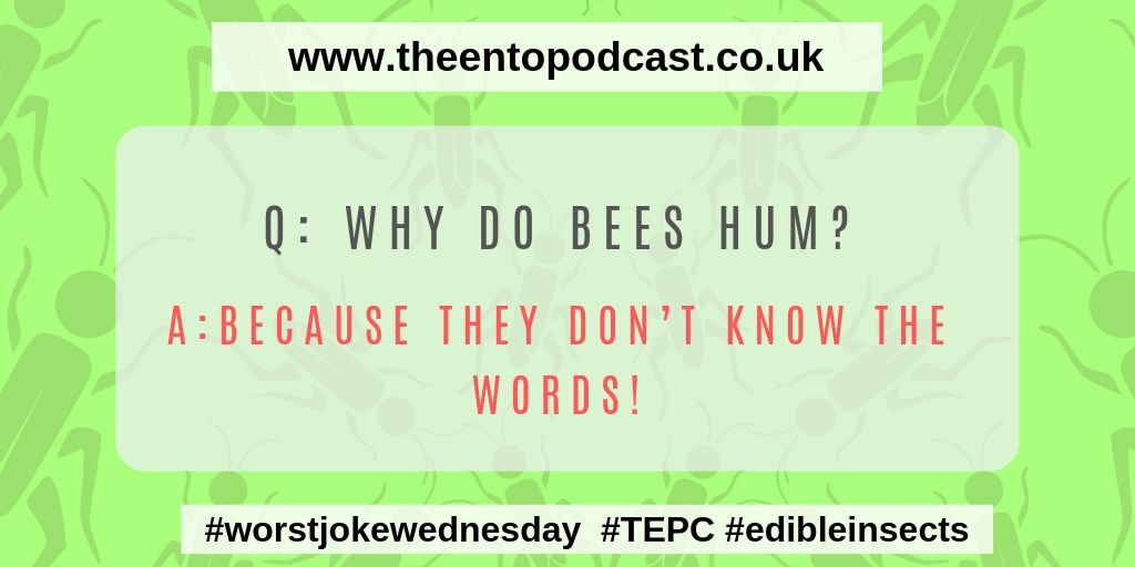 Happy Hump day enjoy our #worstjokewednesday, #ent