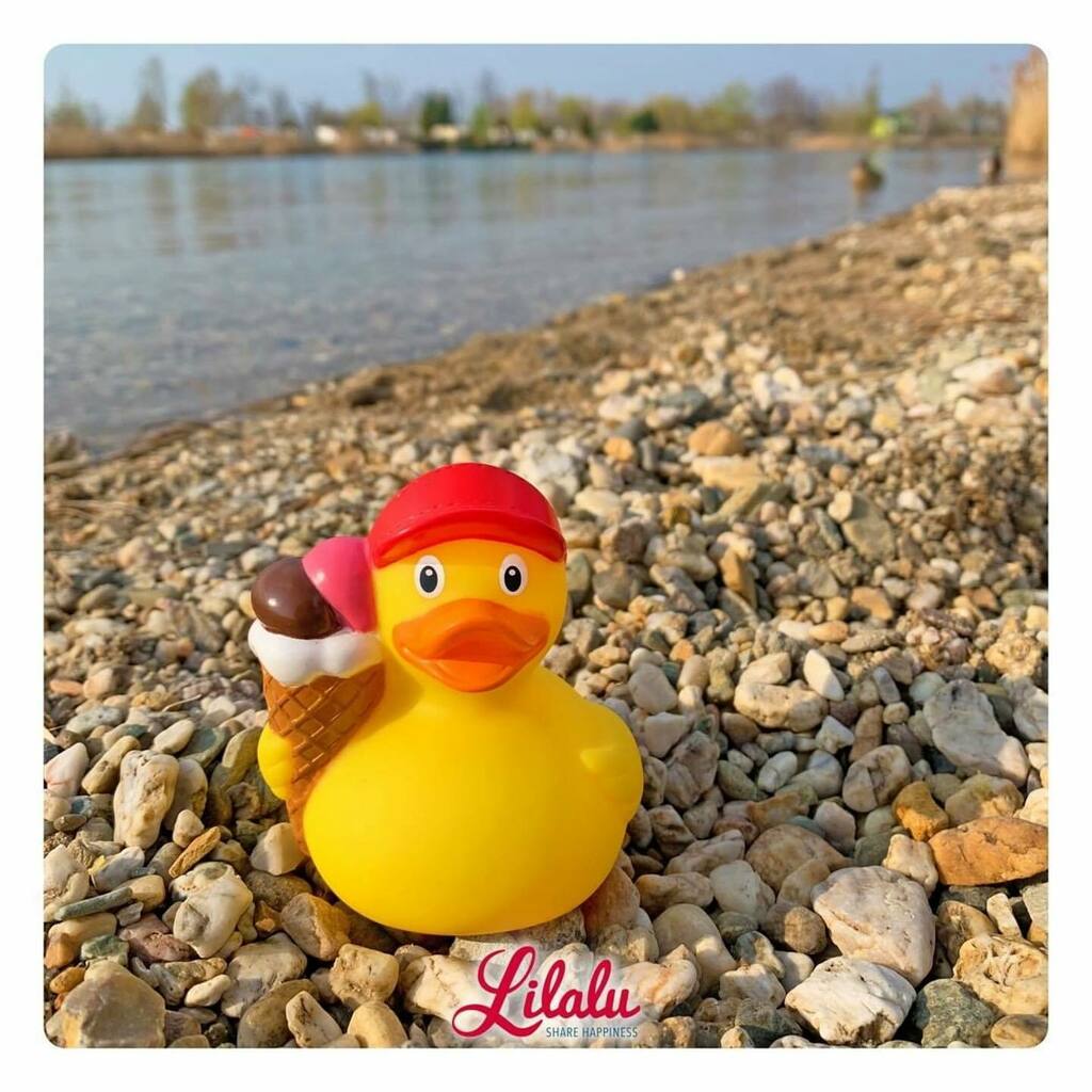La Coincaillerie 🐥 tweet media