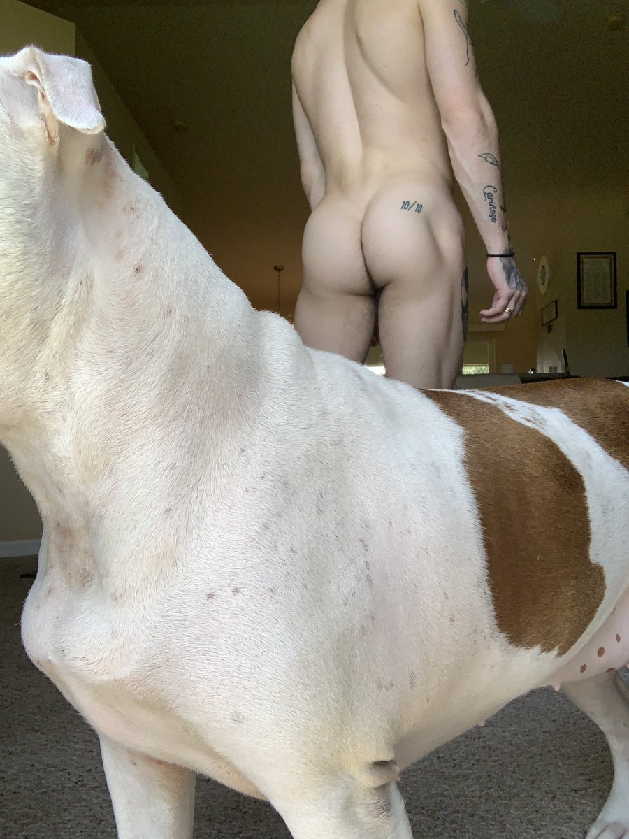 nickmilaniXXX's tweet photo. Every single time I take nudes my dog has to feel involved https://t.co/j7h3wo88BU
