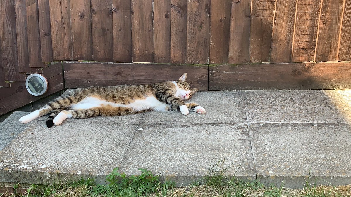 Too hot for this one today