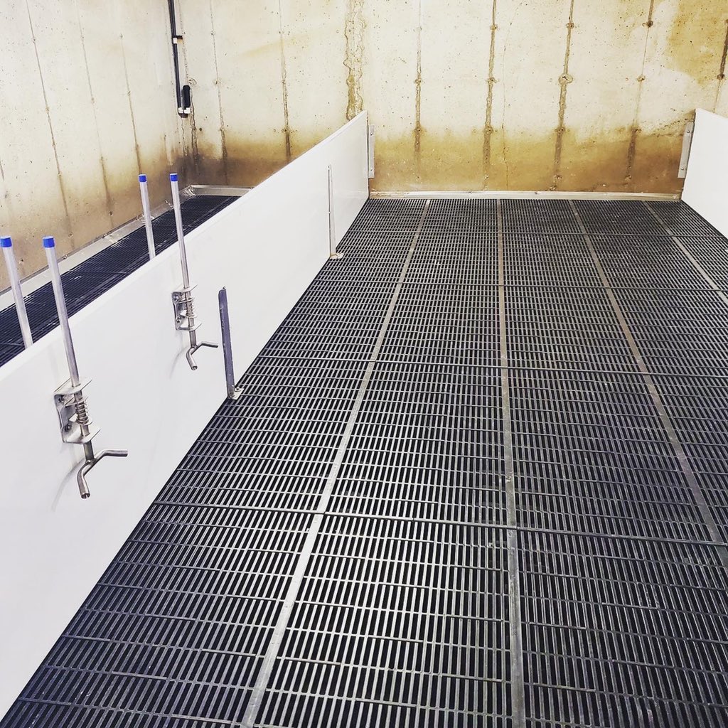 Avonbank_Ag's tweet photo. 2000 Head Nursery Barn Reno complete! Project features Seamless Summit nursery flooring &amp; SS support Delta rails from @CanarmAgSystems , Plastic Penning from @AP_Pork &amp; Water bowls and drinkers via SMB Farm Supply. ⁣#ontag #ontariopork https://t.co/fE81IvIQiz