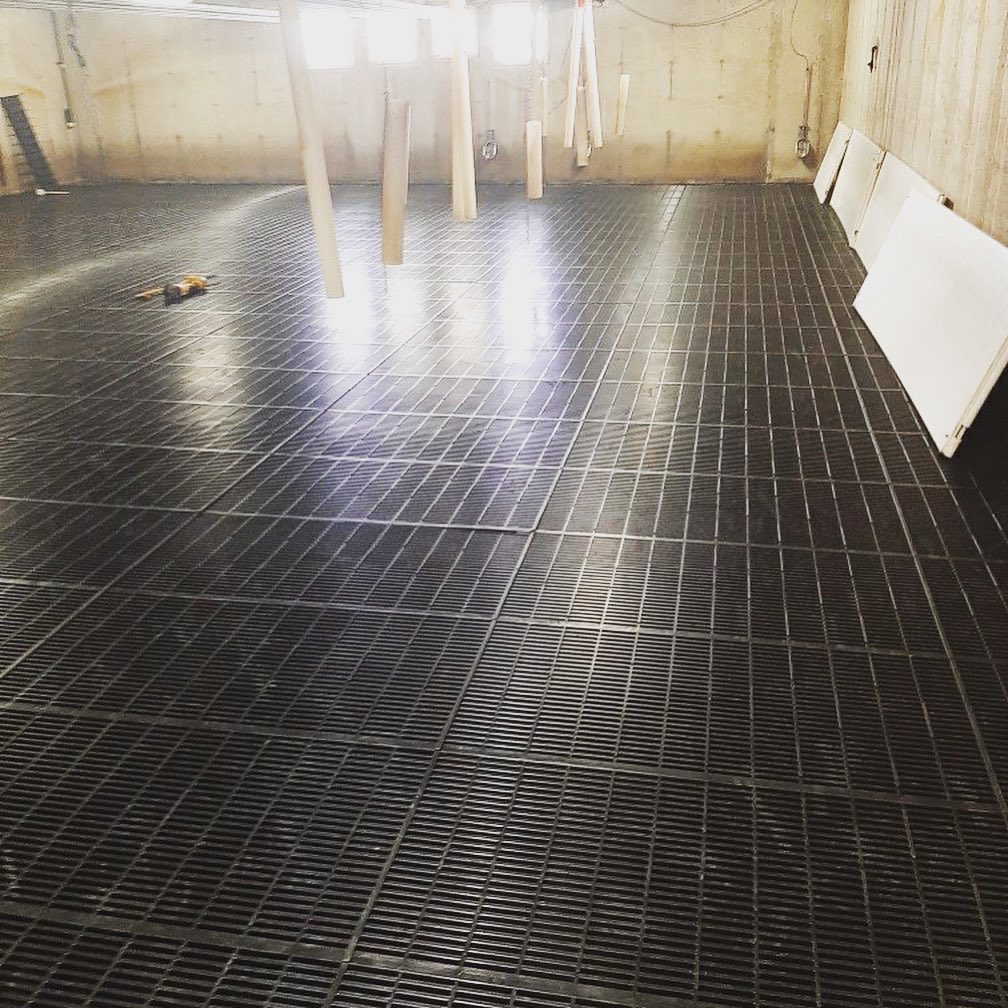 Avonbank_Ag's tweet photo. 2000 Head Nursery Barn Reno complete! Project features Seamless Summit nursery flooring &amp; SS support Delta rails from @CanarmAgSystems , Plastic Penning from @AP_Pork &amp; Water bowls and drinkers via SMB Farm Supply. ⁣#ontag #ontariopork https://t.co/fE81IvIQiz