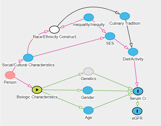 9/ Here is one example of a eGFR causal model using social constructs. Factors such at inequality, Socio-Economic-Status, cultural culinary habits, etc can influence diet/activity & serum Cr values.