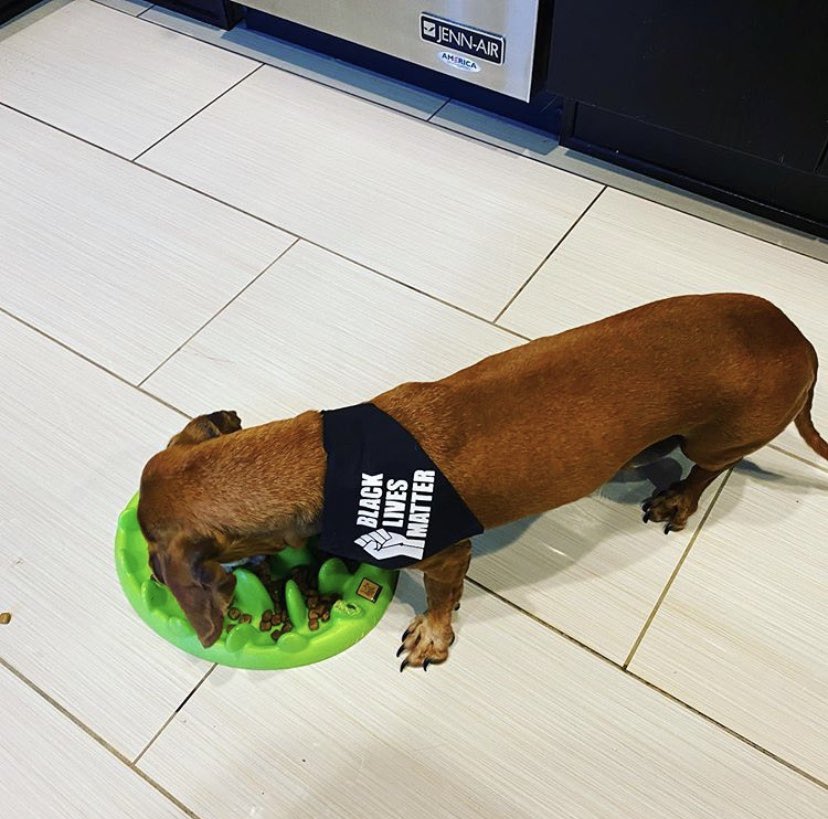 PeanutsPaws tweet picture