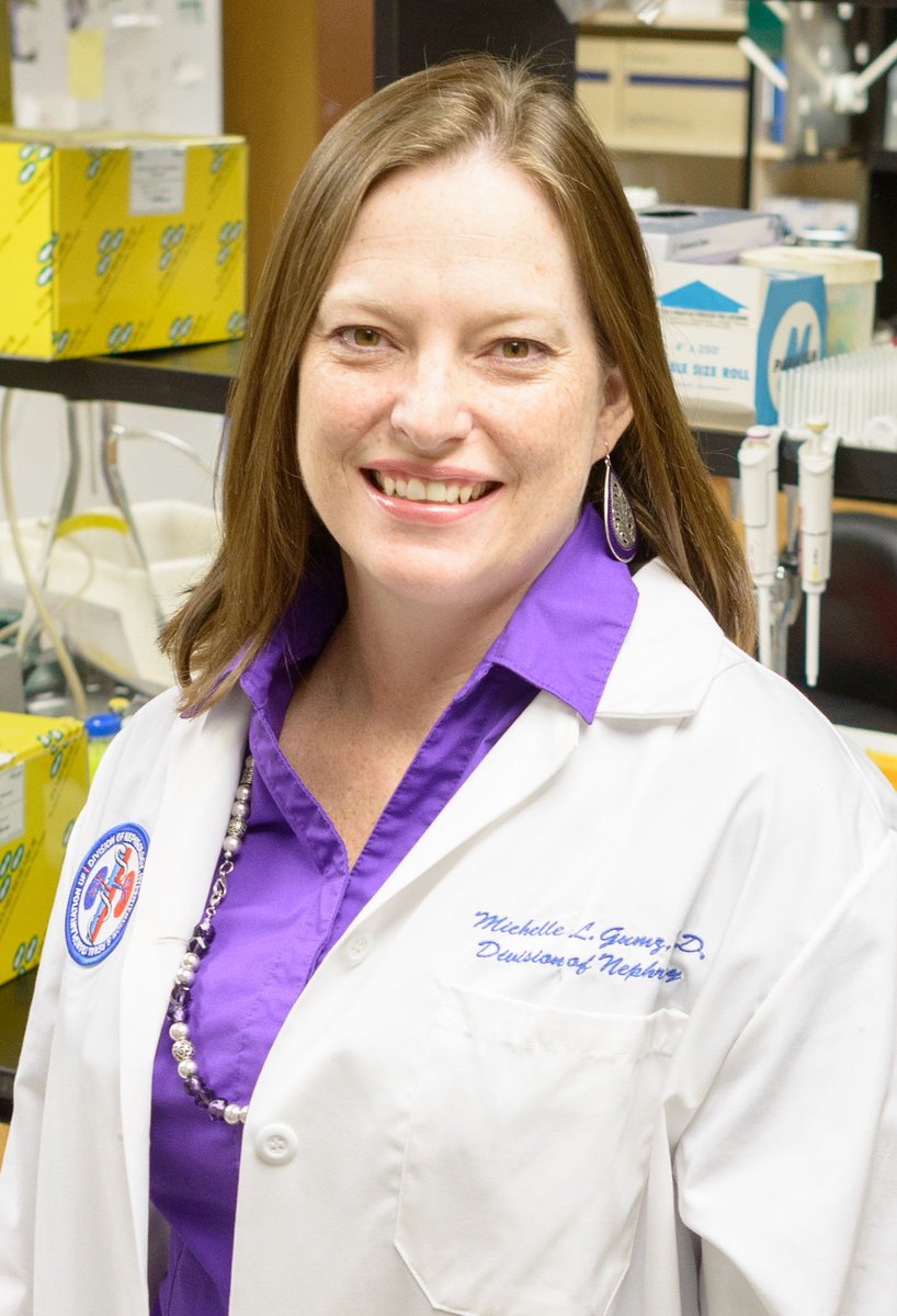 AJPRenalEIC's tweet photo. Incoming Associate Editor @AJPRenal Dr. Michelle Gumz @MLGumz is an Associate Professor of Medicine at University of Florida @UFMedicine studying the role of the molecular circadian clock in the kidney and its contribution to blood pressure regulation and renal function https://t.co/E4ci4m7bgW