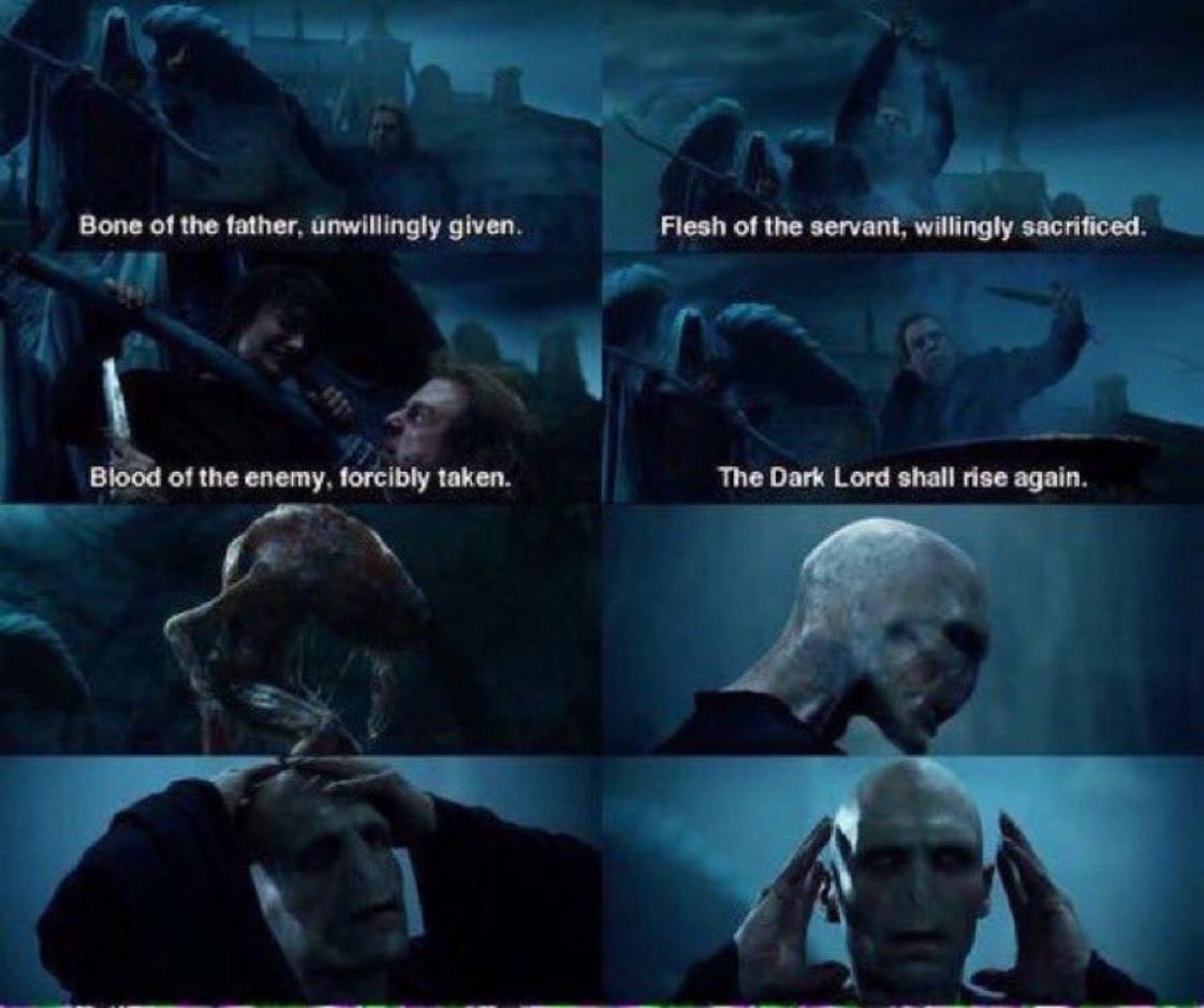 Harry Potter Universe June 24 1995 Voldemort Rises Again After Wormtail Creates A Proper Body For Him The Dark Lord Shall Rise Again T Co W5oblepqus