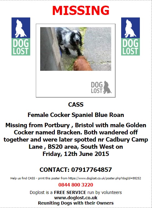 gelert01's tweet photo. #Bracken Missing with #Cas 12/06/2015 #PriorWoods #Portbury #Bristol were spotted 2gether 15/06/2013 #CadburyCampLane #BS20 #WeareStillMissing #ScanthatChip #NeverForgetUs https://t.co/LiWGUhMC1h