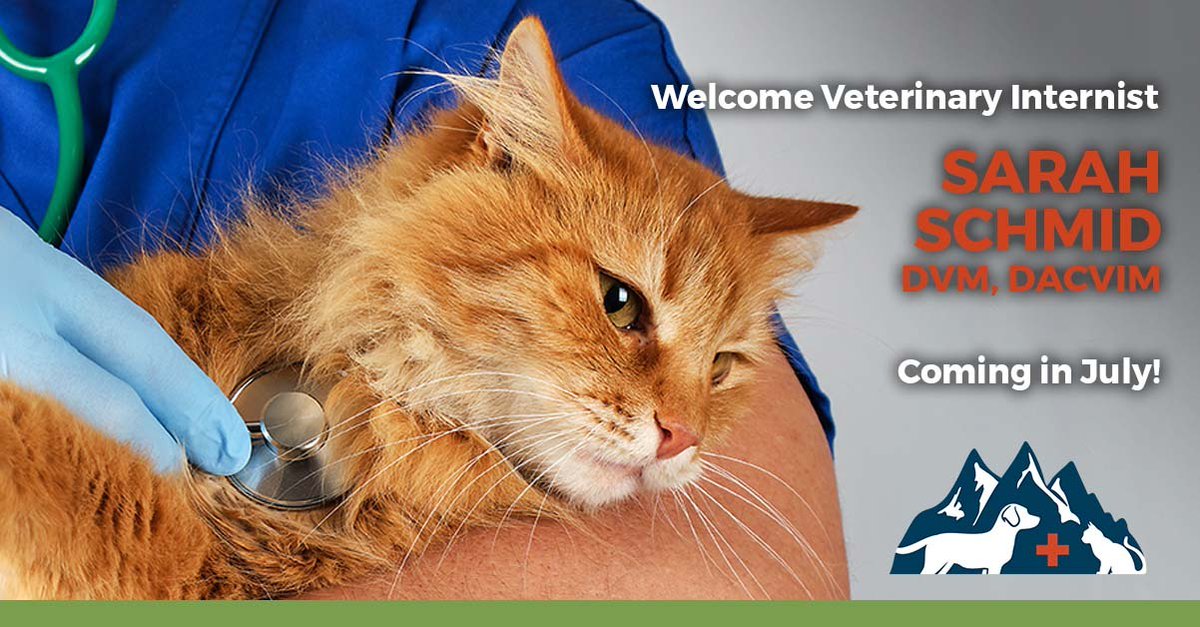 veterinary specialists of the rockies
