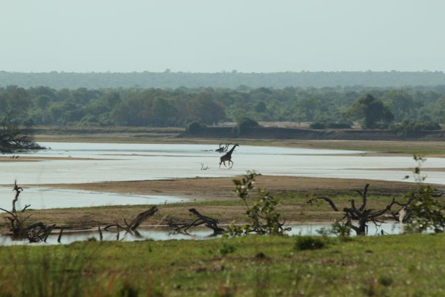 De eerste vier dagen in Lusaka hebben we vrijwel niks gedaan, reizen is vermoeiend komen we achter. #Afrika #Afrika2012 #lusaka #reizenisvermoeiend #southluanga #thorncraftgiraffe #wazungunl #Zambia #zuidluanga wazungu.nl/verhalen/reize…